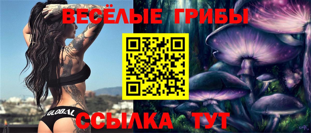 Галлюциногенные грибы Psilocybine cubensis  Галлюциногенные грибы Cubensis  Вход с VPN  Ялуторовск 