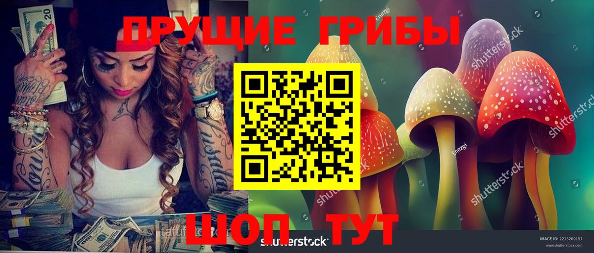Псилоцибиновые грибы Magic Shrooms Ялуторовск